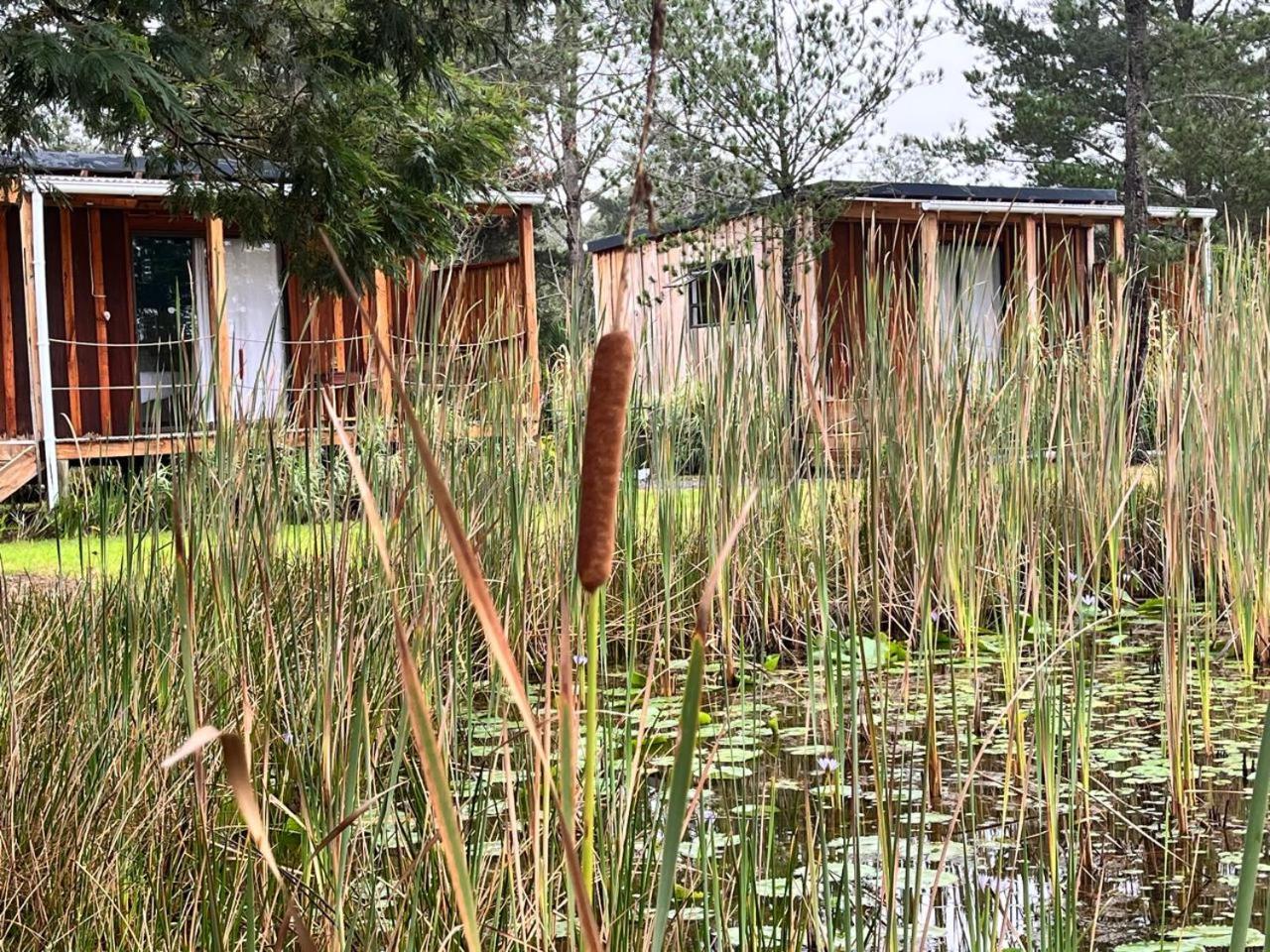 Forest Gate Resort Plettenberg Bay Exterior foto