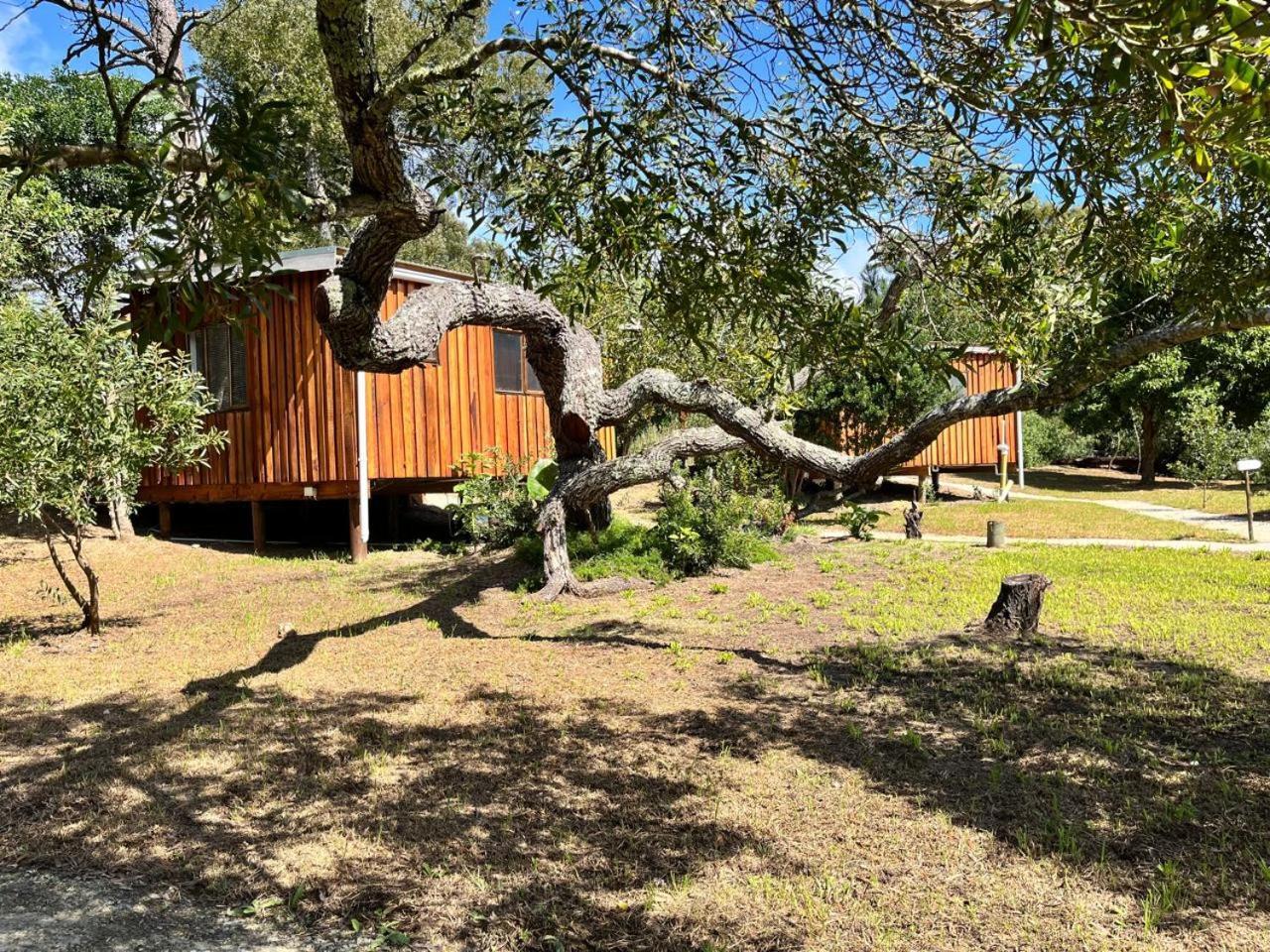 Forest Gate Resort Plettenberg Bay Exterior foto